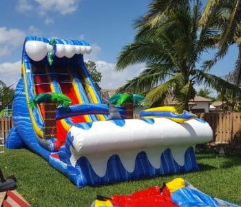 24ft Double-Lane Wild Waves Waterslide (S47)