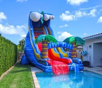 24ft Wild Waves Slide for Pools (S46)