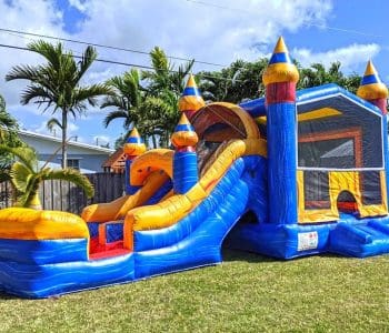 Melting Artic Bounce House & Water Slide (C13)
