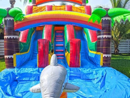 16ft-dolphins-waterslide-double-slide