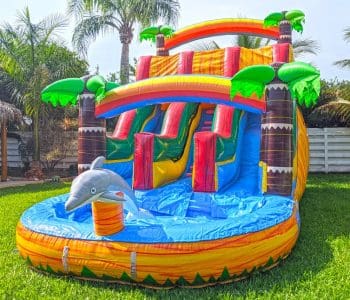 16ft Dolphins Double-Lane Waterslide (S33)