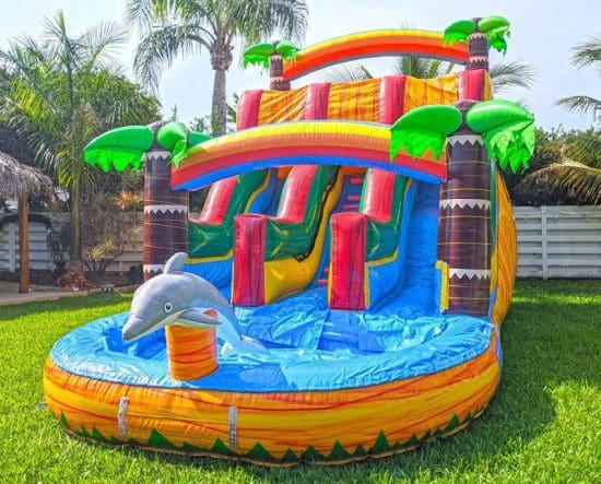 16ft-dolphins-waterslide-rental