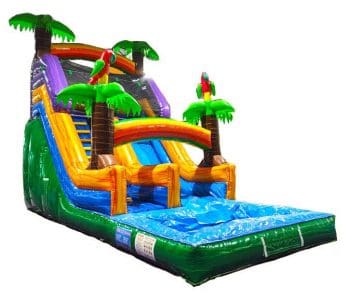 Miami Water Slide Rentals 16 20ft Parrot Jungle waterslide (S42)