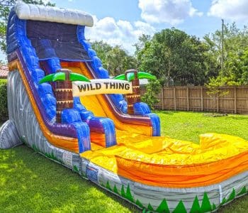 Miami Water Slide Rentals 19 20ft South Beach Waterslide (S39)
