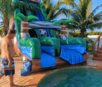 25ft Jurassic Rush Slide for Pools (58)