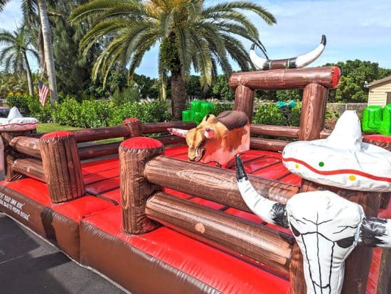 miami bull rental