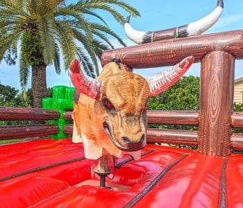 Mechanical Bull